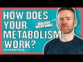 Understanding Metabolism for Weight Control and Better Health