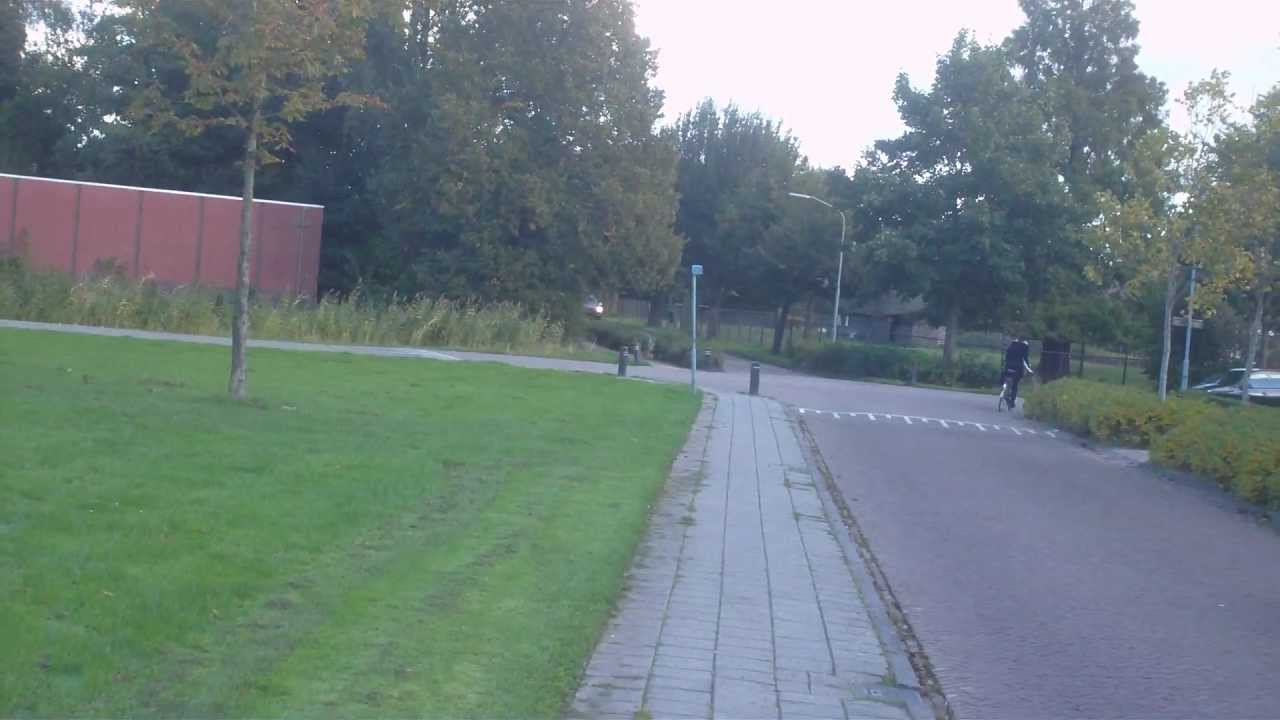 Blade Nano CPx speedpasses on 35c mcpx lipo and cutting the tree branches (3d blades)