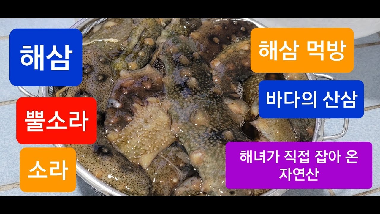 해삼 seacucumber뿔소라top shell 해삼먹방 sea cucumber mukbang 동네 지인들과 해삼과 소라로 먹방