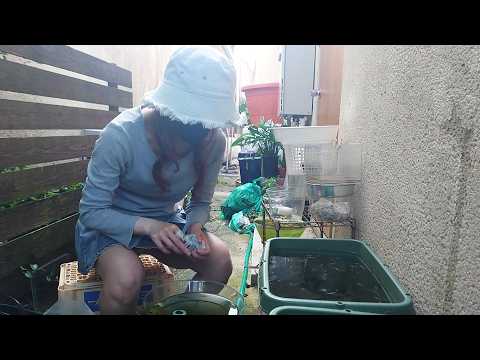 【台風一過】エサやり