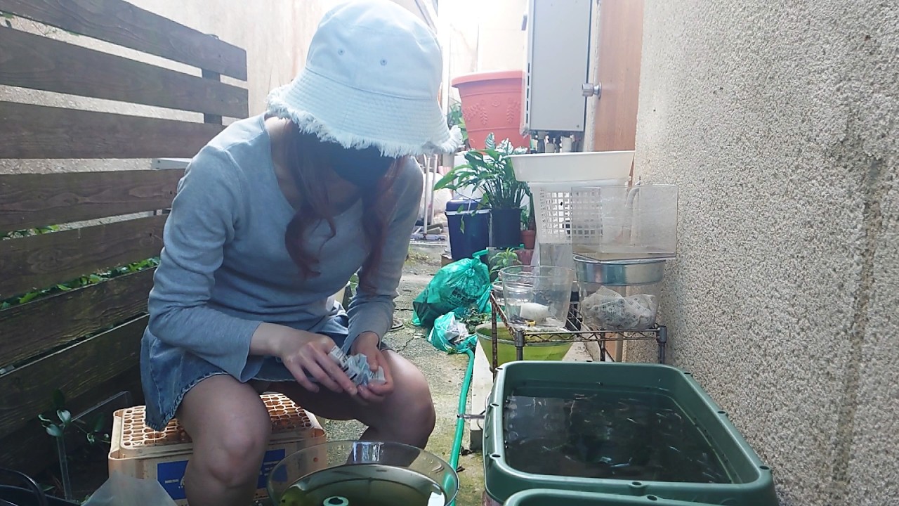 【台風一過】エサやり