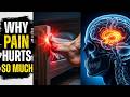Why Does Pain Hurt The Shocking Science Inside Your Brain | HowCore |