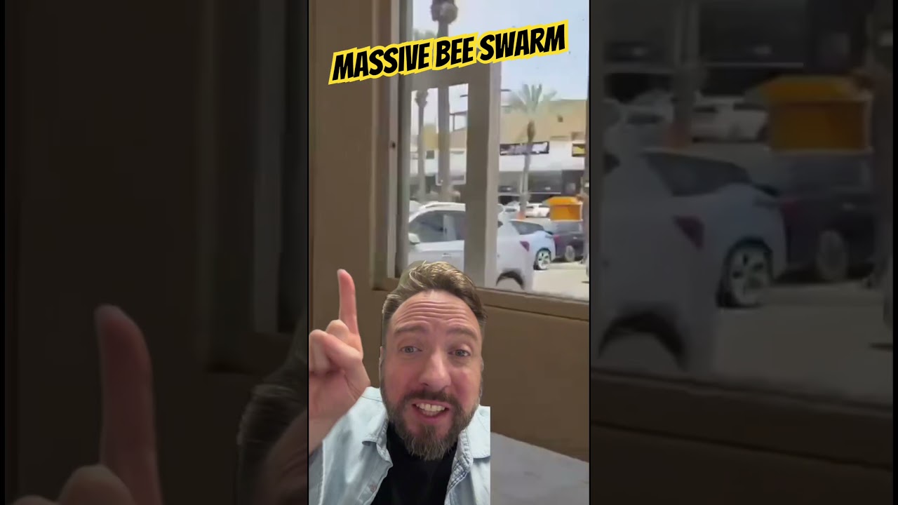 This Bee Swarm Over Israel Is Absolutely Insane #dramatic #shocking #shorts