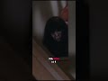 Ju on è il perturbante puro… #horror #thegrudge #juon