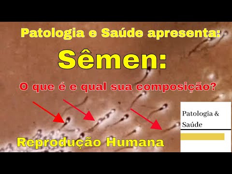 Reprodução Humana: Sêmen o que é e qual a sua composição?