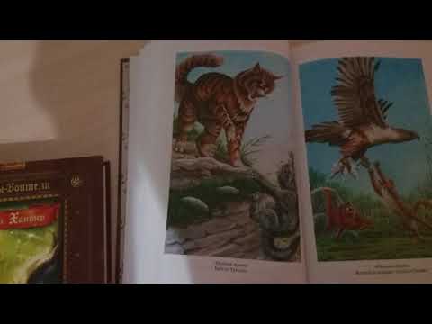 Обзор Золотой коллекции Коты Воители: Опасная Тропа и Битва за лес.