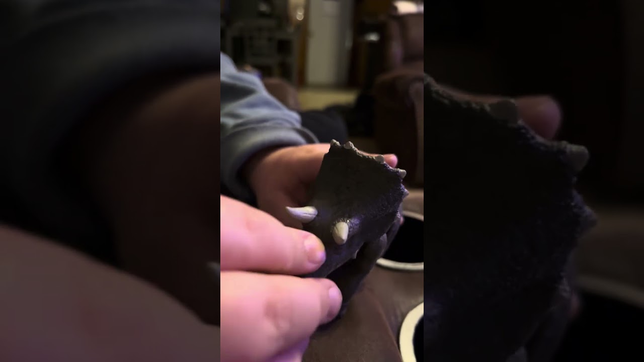 Baby Hammond triceratops take 2