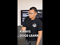 The 4 ways your dog can learn