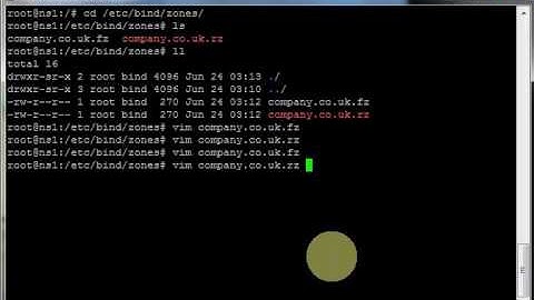 Installing Bibd DNS On Ubuntu 14.04
