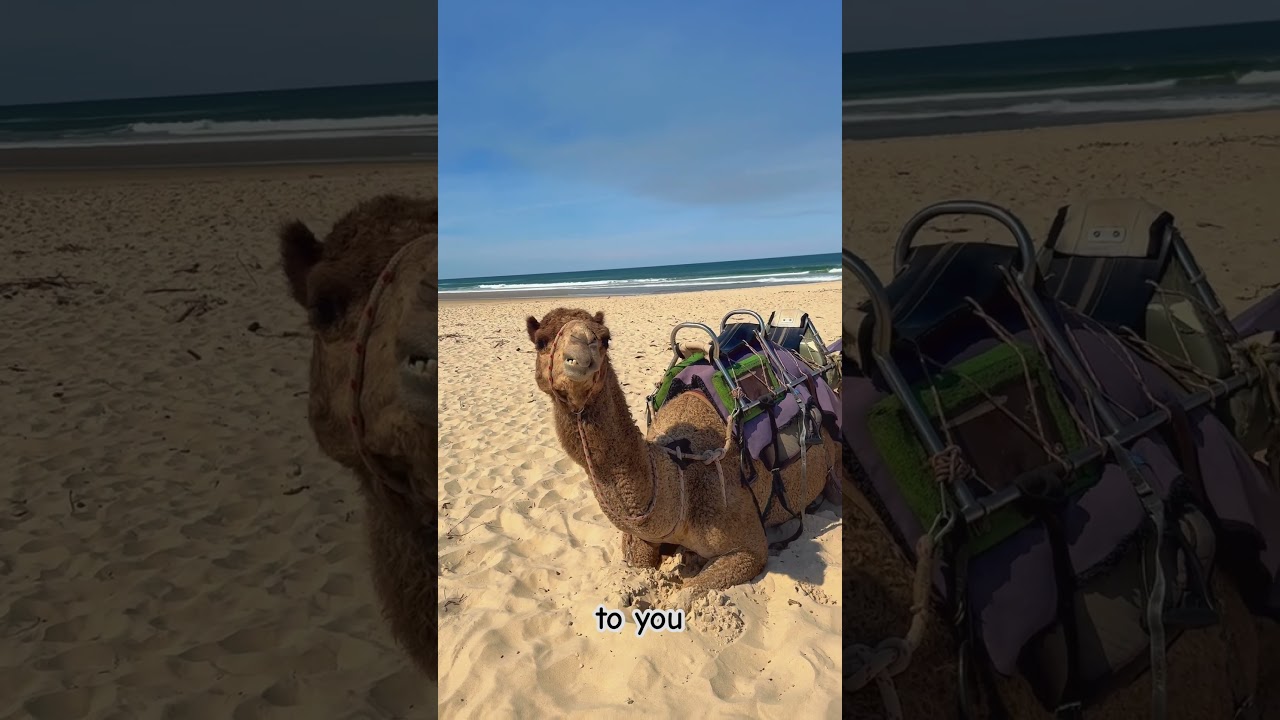 Port Macquarie, Australia 