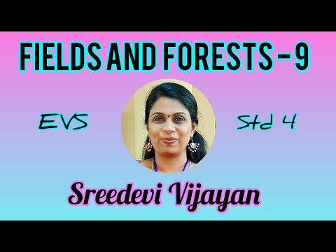 Std 4 EVS Biotic & Abiotic factors / Ecosystem /ജീവീയ -അജീവീയ  ഘടകങ്ങൾ