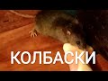 Щас мы колбаски порежем!