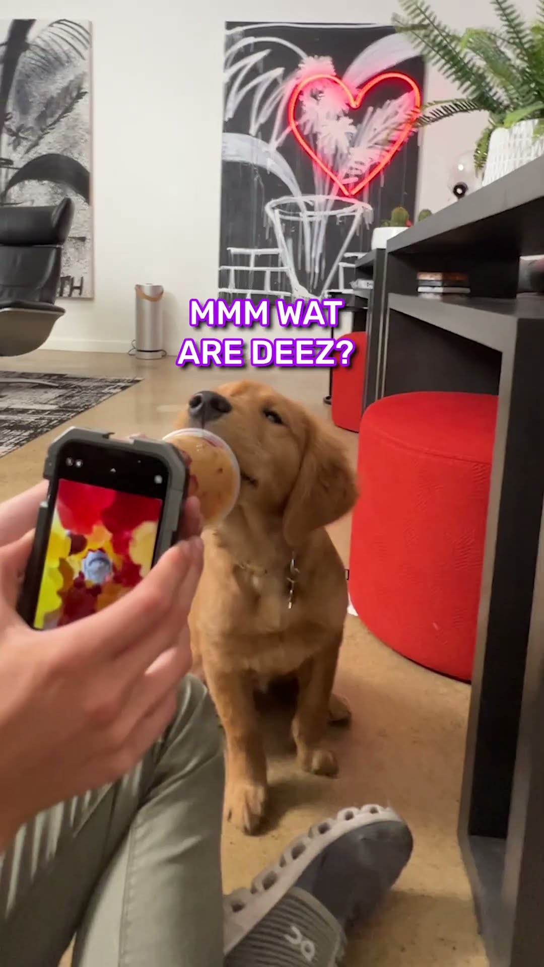 What a hungry puppy looks like...