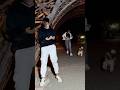 Galat bat hai 🐿️🐶 #mr_altamas_500 #wish500 #altuwish #viralshort