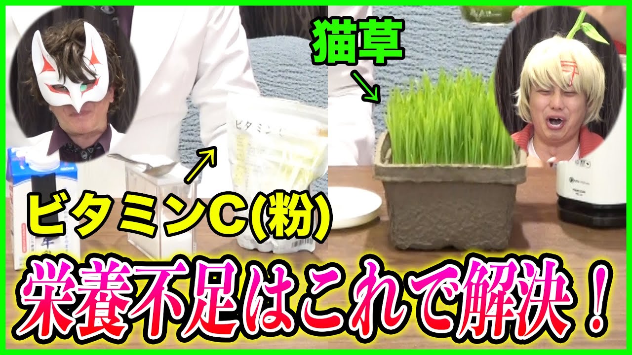 ビタミンCを取ろう！！猫草を食べよう！！！！