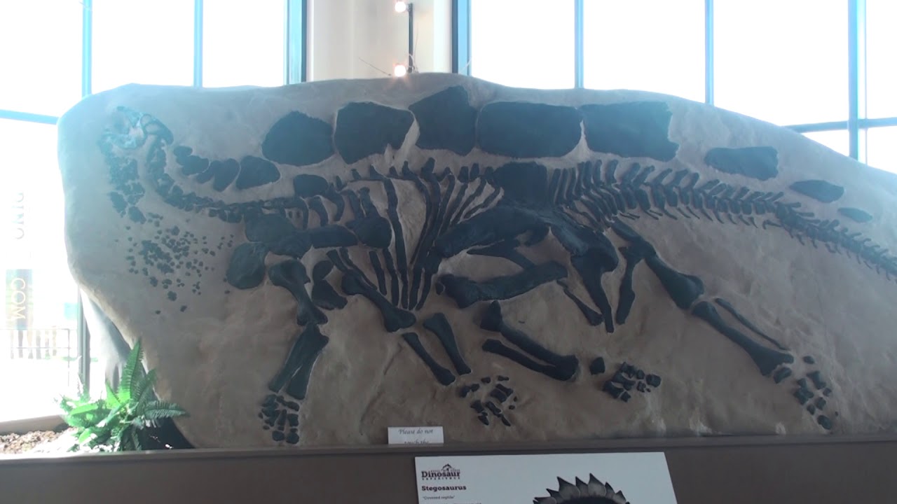 Royal Gorge Dinosaur Experience - Museum and Ropes Course