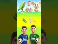 💥Tell The Correct Match Puzzle #shorts #puzzle