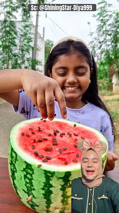 Download lagu Taburi Biji SEMANGKA‼️ShiningStar-Diya999