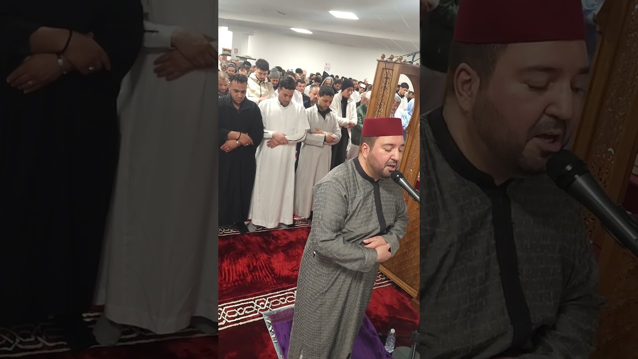 #القارئ_منصف_برومي