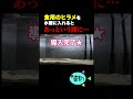 食用のヒラメを水槽に入れるとあっという間に…！？