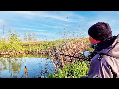 Уехал туда где весна! Первая рыбалка и сразу крупные караси! Весенняя рыбалка на поплавок