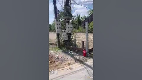 TT cần giuộc còn 6 nền ( dt 171 m) ngang 4,1 x 42  Đất thổ % Lh 0902,743,559