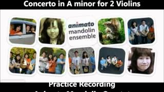 20120822 A.Vivaldi - Concerto for 2 Violins 1st Mov.
