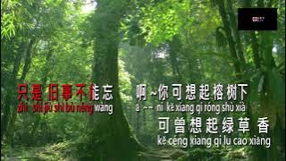 Rong Shu Xia 榕 树 下 vokal