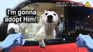 When GOOD Cops Are SO COOL!Very Heart Melting Encounters