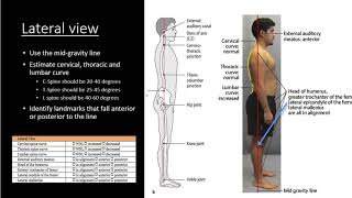 Postural Exam -  anterior and lateral view Net Worth