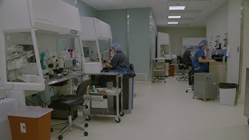 Embryology Lab Time Lapse | ORM Fertility