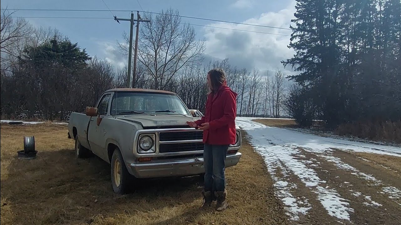 1979 Dodge d200 Manual walk around and running.