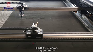 Richpeace Double Beams Asynchronous Automatic Feeding Laser Engraving and Cutting Machine