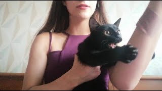 Asmr Черничка