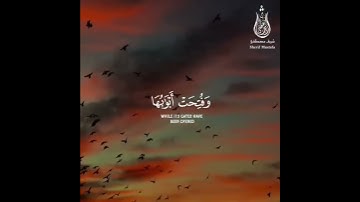حالات واتس قرآن| القارئ شريف مصطفى