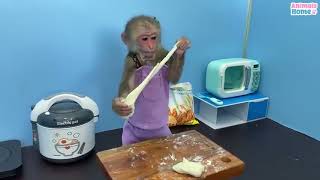 Домашняя обезьянка Bibi