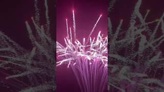 Celebrity 🐍 Rising Python Red von Funke Feuerwerk 😍 #fireworks #feuerwerk Profile