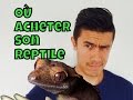 O acheter son reptile  viter les animaleries