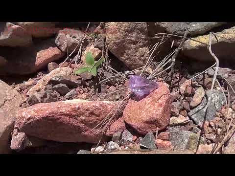 Среди гор речных камней есть и драгоценные камни