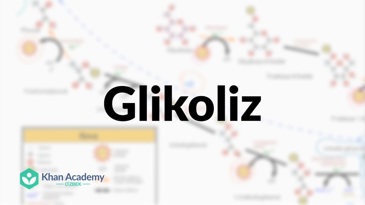Glikoliz | Hujayraviy nafas olish | Biologiya