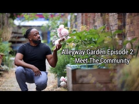 Alleyway Garden Episode 2: Meet The Community