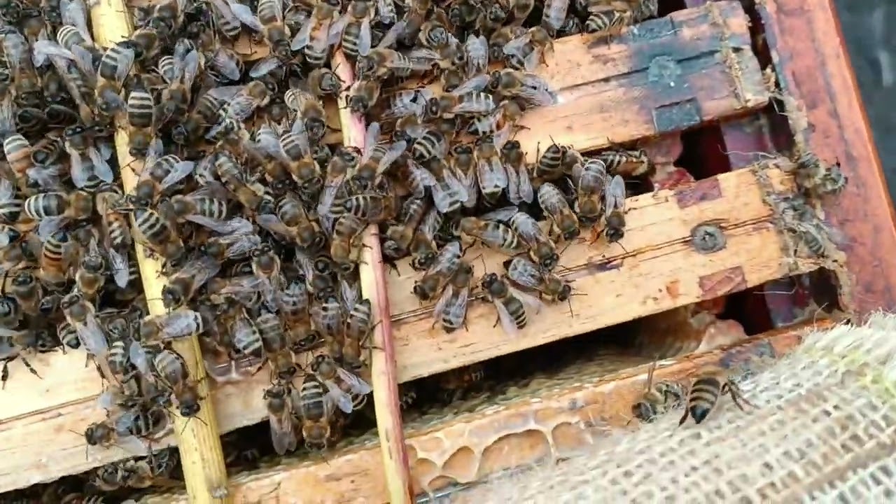 2026.02.07 kontrola pokarmu na RODOS