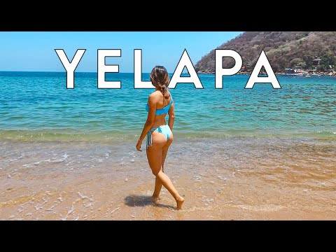 Video: Đi Lặn với ống thở ở Puerto Vallarta