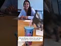 Animals appeared in the classroom #funny #animals #classroom