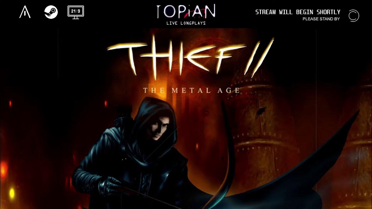 Thief 2. Thief II: the Metal age. Thief 2 the Metal age пираты. Thief the metal age