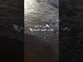 لي داه بحر يعيا يجيبو موجة