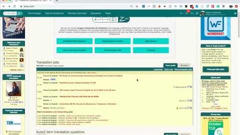 A Video For Clients: Things to do when Posting on Proz