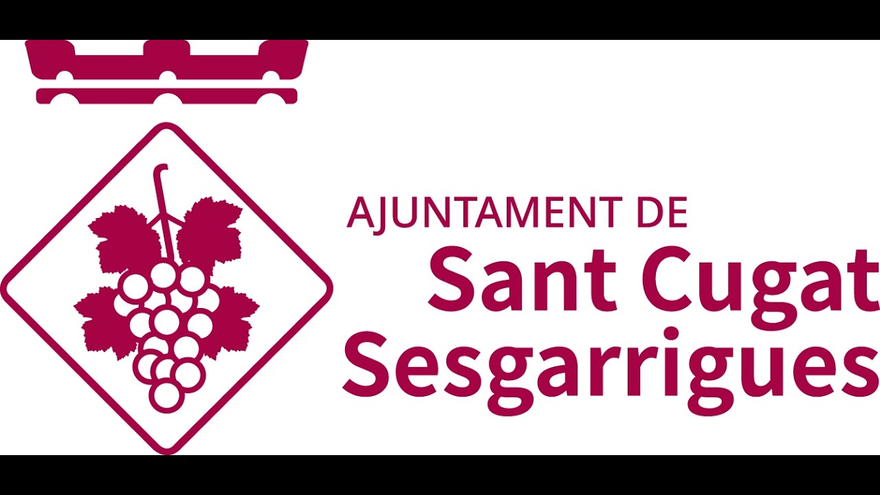 Ple extraordinari 17 de febrer de 2026