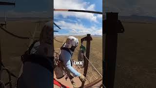 Does It Actually Work Tho?