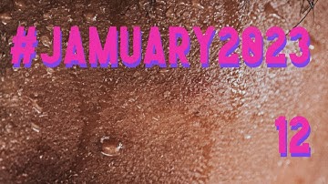 #Jamuary2023 on the Elektron Model:Cycles - 12